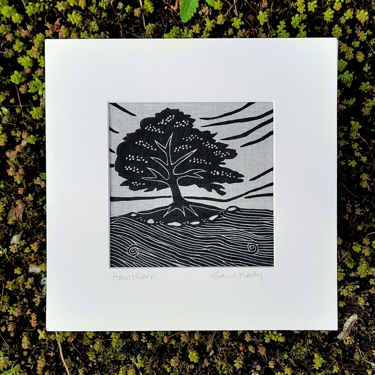 Hawthorn linocut printed on Irish linen gailkellyprintmaker